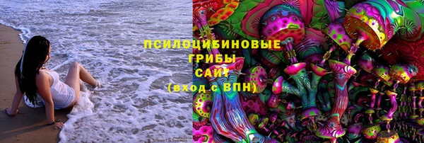 хмурый Алексеевка