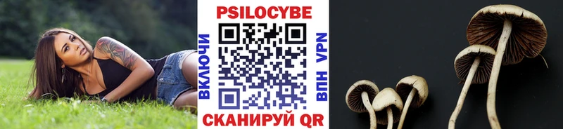 Галлюциногенные грибы прущие грибы  Ярцево 